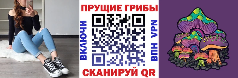 купить наркотики цена  Новоалтайск  Галлюциногенные грибы Magic Shrooms 